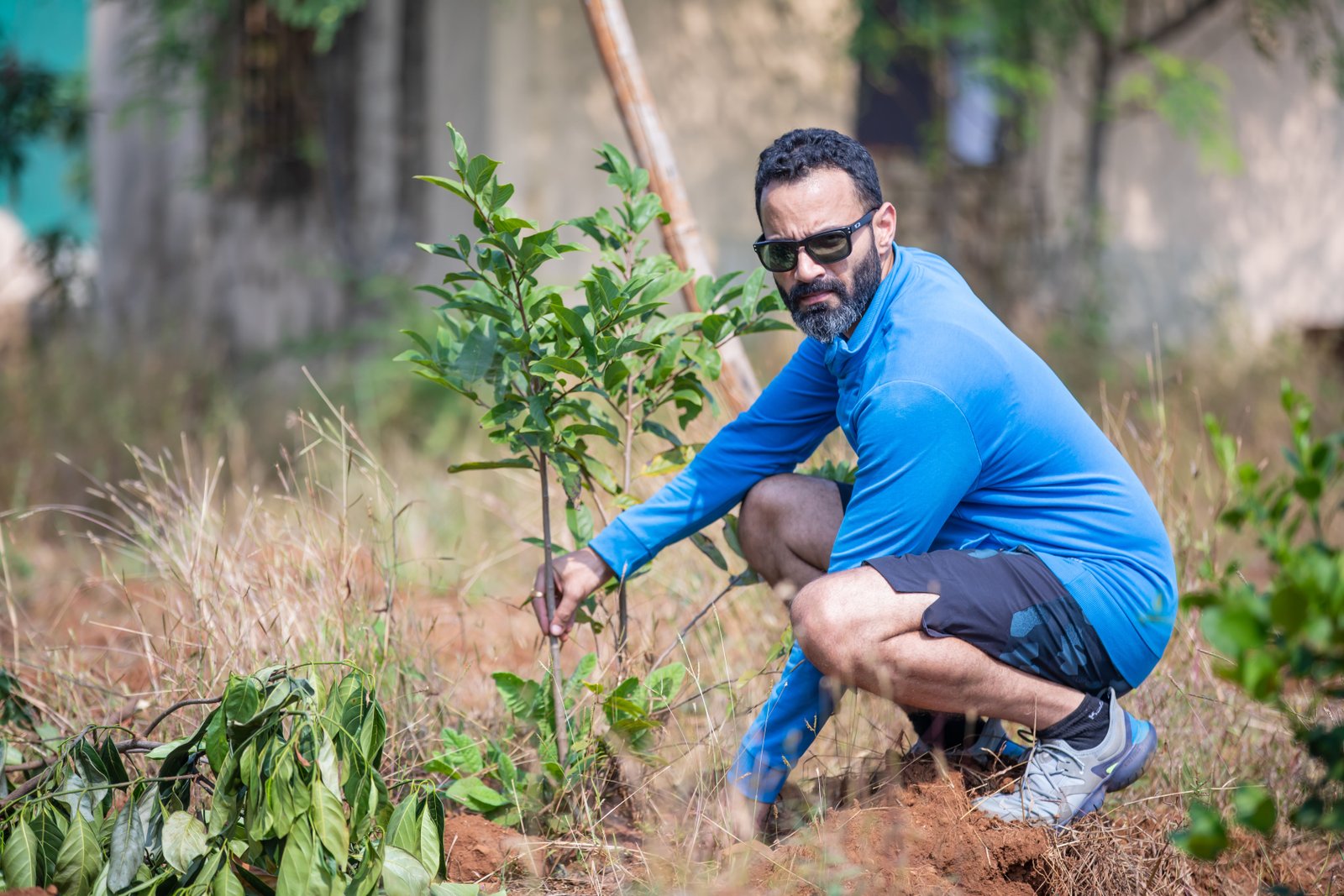 Plantation & Environment